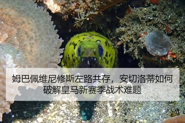 姆巴佩维尼修斯左路共存，安切洛蒂如何破解皇马新赛季战术难题