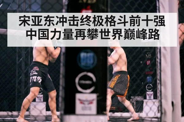 MMA cage fight